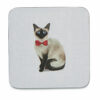 Pack of 4 Coasters CURIOUS CATS Design by Cooksmart-82695