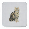 Pack of 4 Coasters CURIOUS CATS Design by Cooksmart-82696