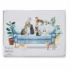 Set of 4 Placemats Curious Cats by Cooksmart-82584