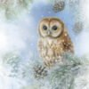 Luxury Paper Pack of 20 Napkins Christmas Tawny Owl 33x33cm by Ambiente-0